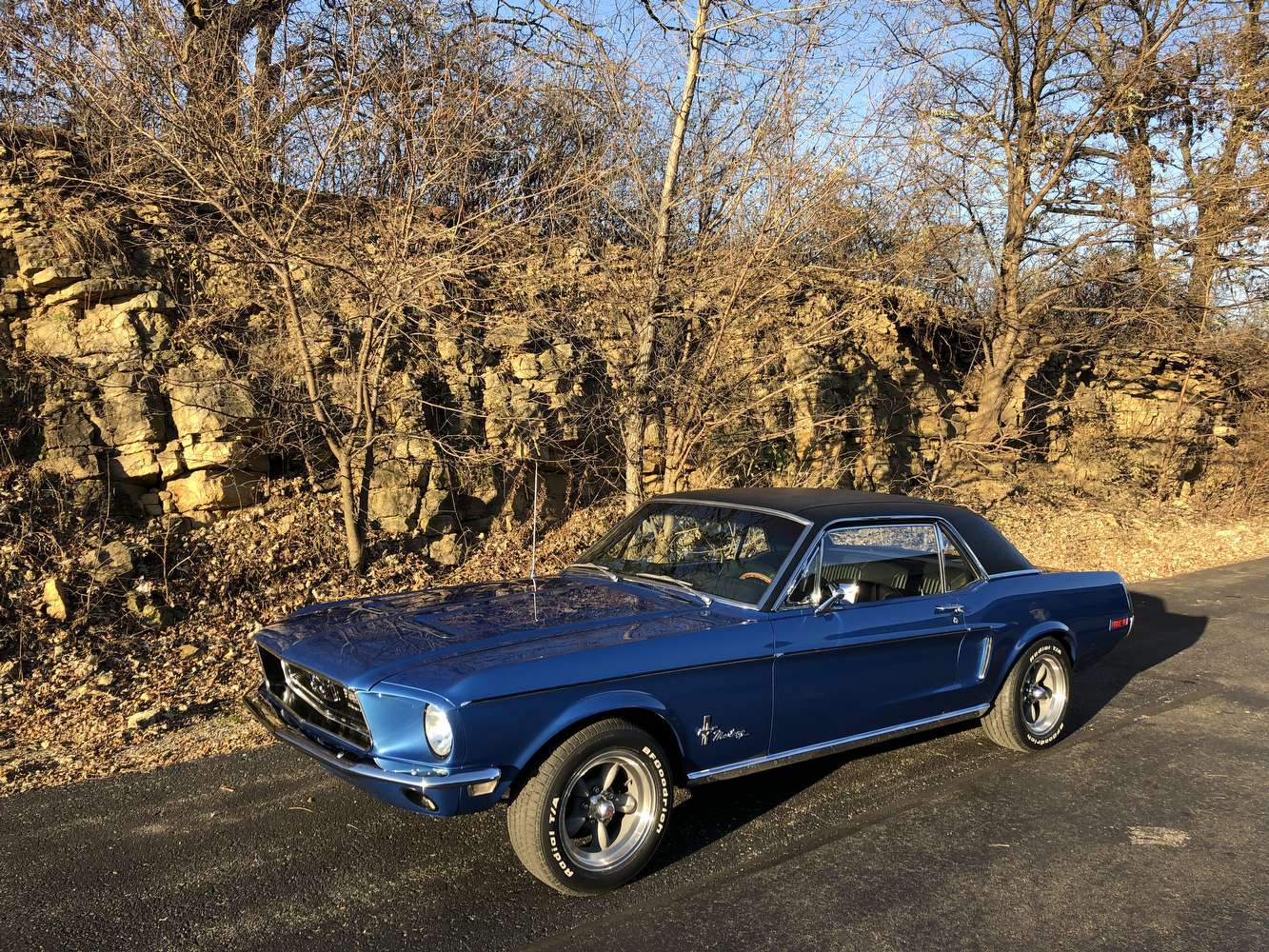 IMG_1815.jpg IMG_1815.jpg